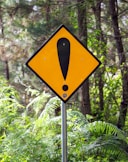 yellow and black road sign
