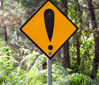 yellow and black road sign