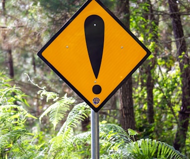 yellow and black road sign