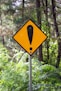 yellow and black road sign