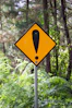 yellow and black road sign