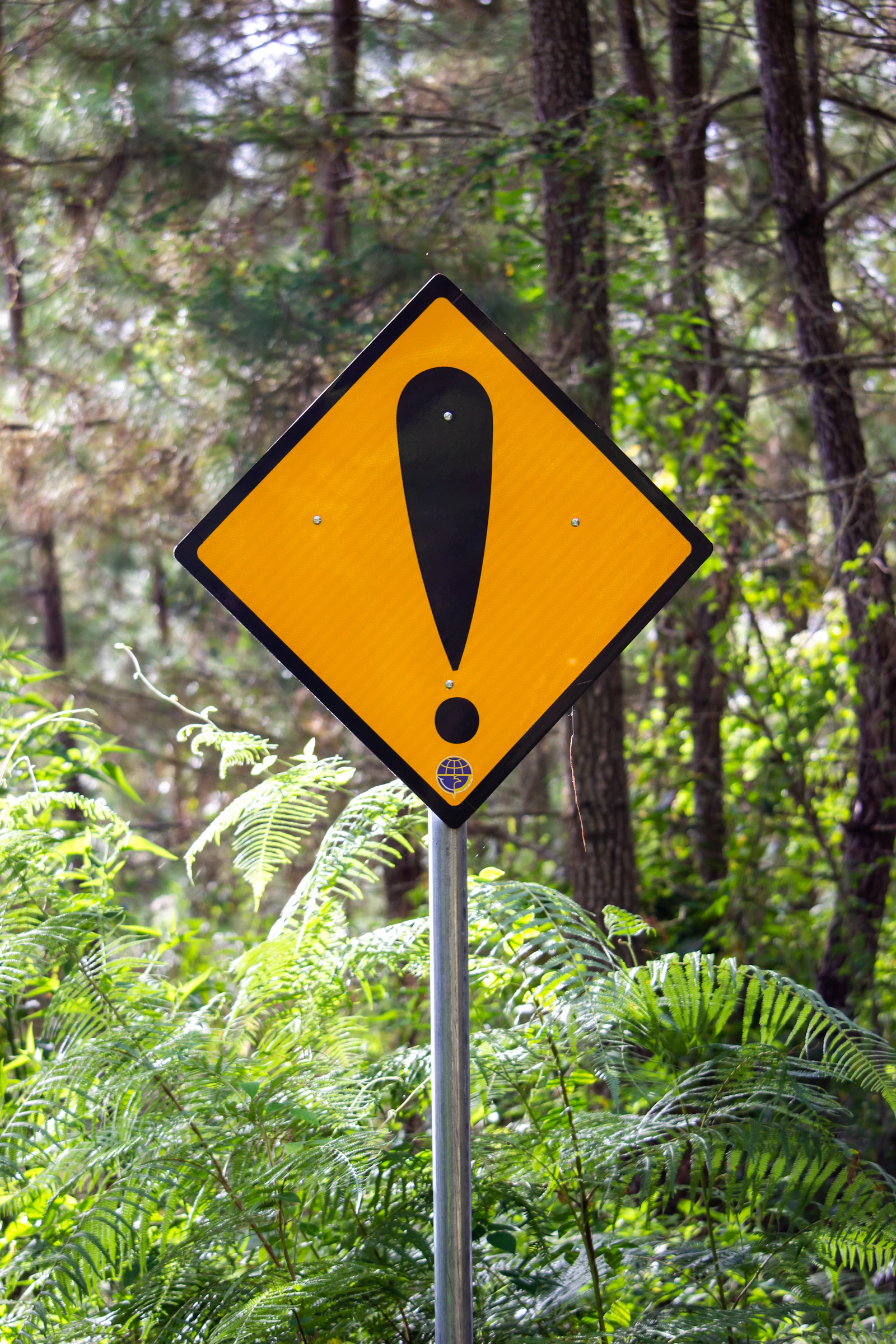 10 Red Flags When Hiring a Web or Marketing Agency