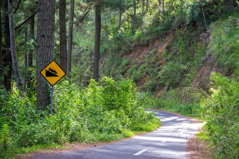 yellow and black road sign near green trees during daytime