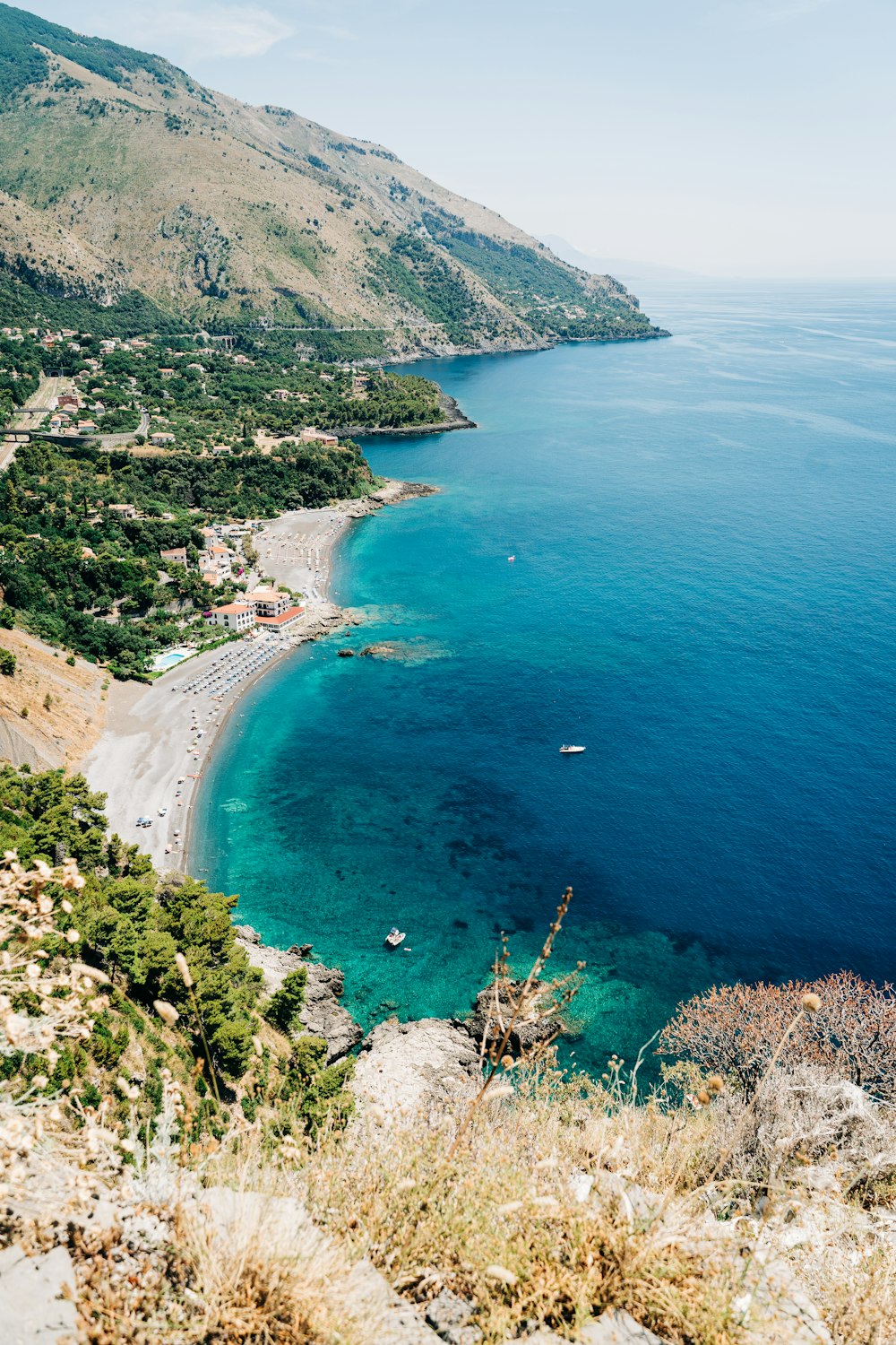 green trees on mountain beside sea during daytime