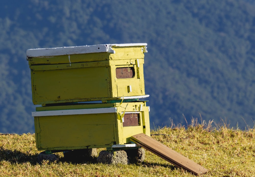 yellow and white wooden storage on green grass field