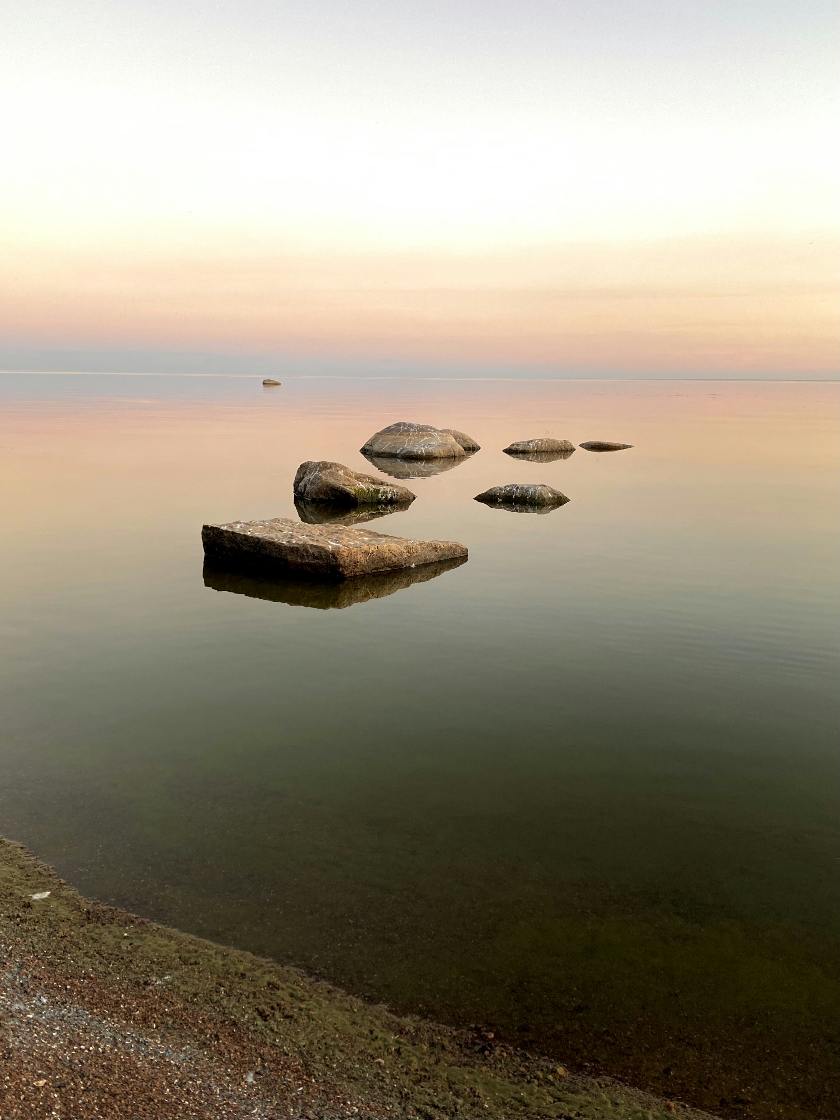 Photo by alexolesya9