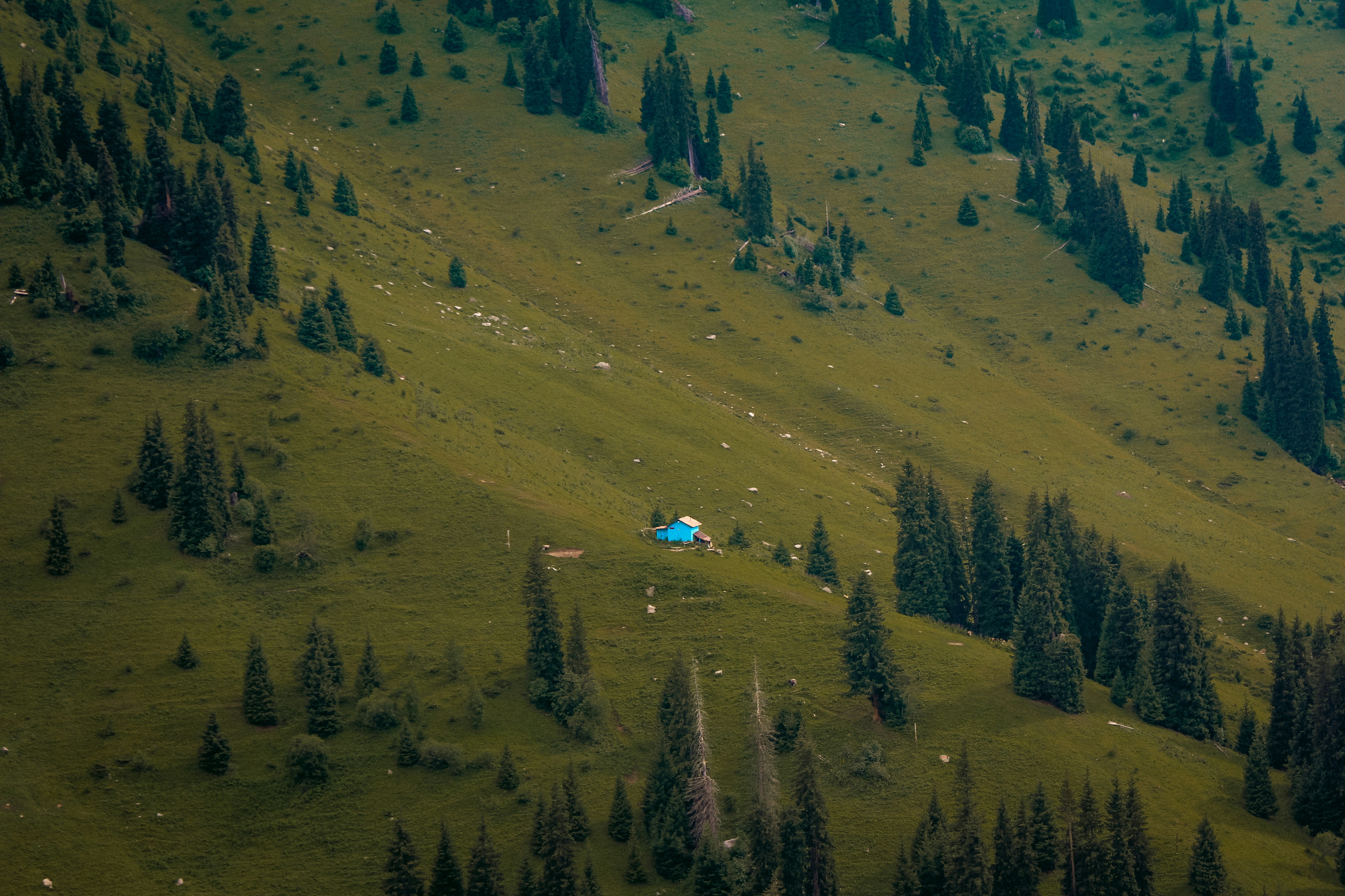 people walking on brown field during daytime
