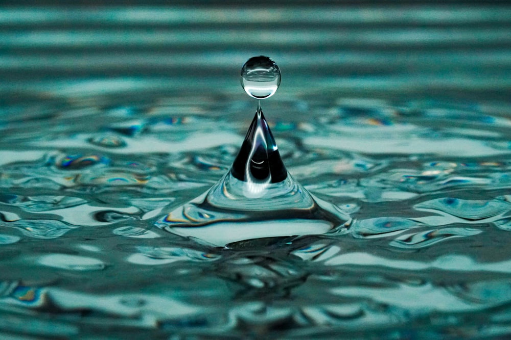 water drop on body of water