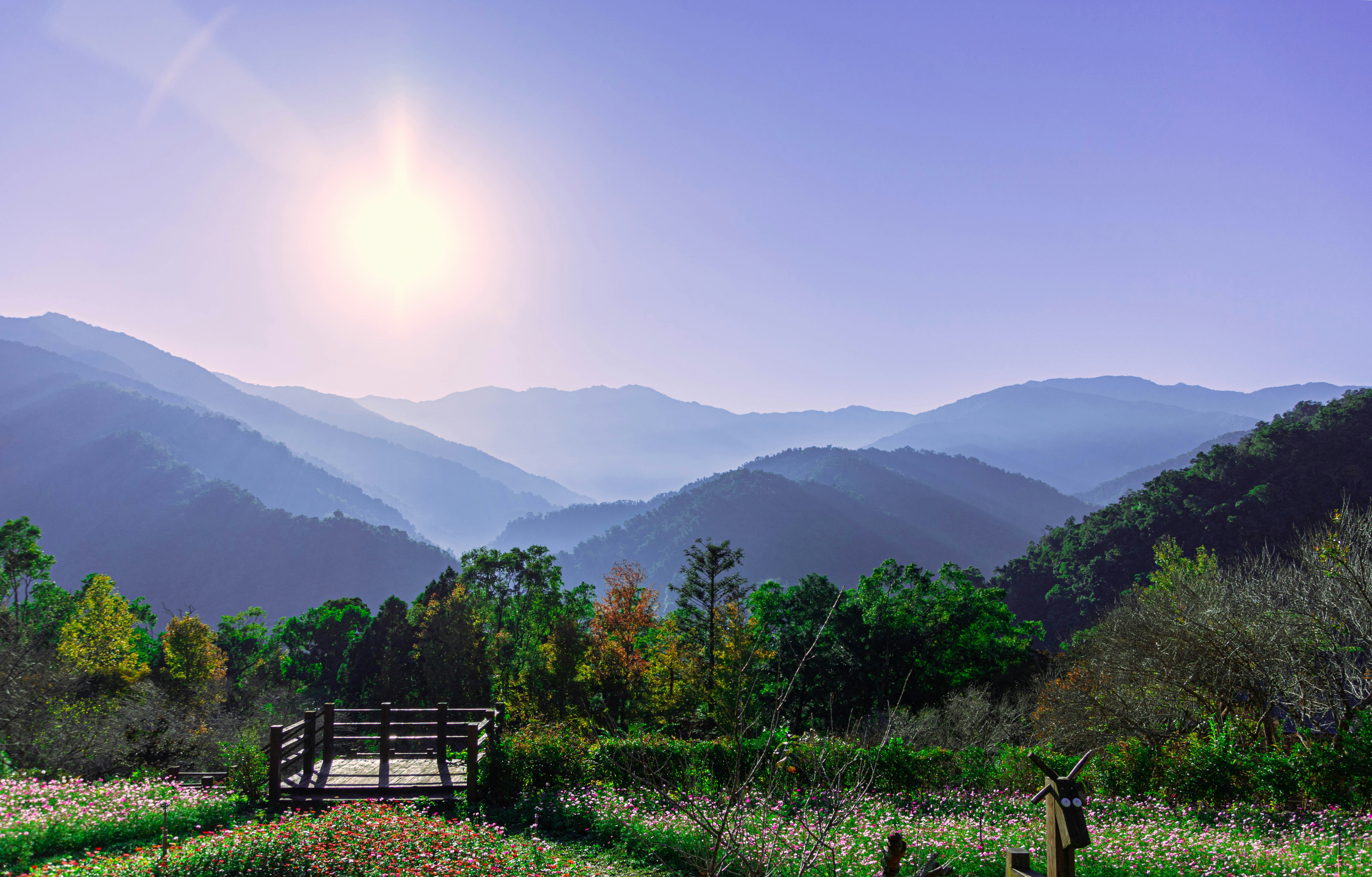 설악산 비선대야영장 국가유공 간결하고 명료한 정보 요약 포스터