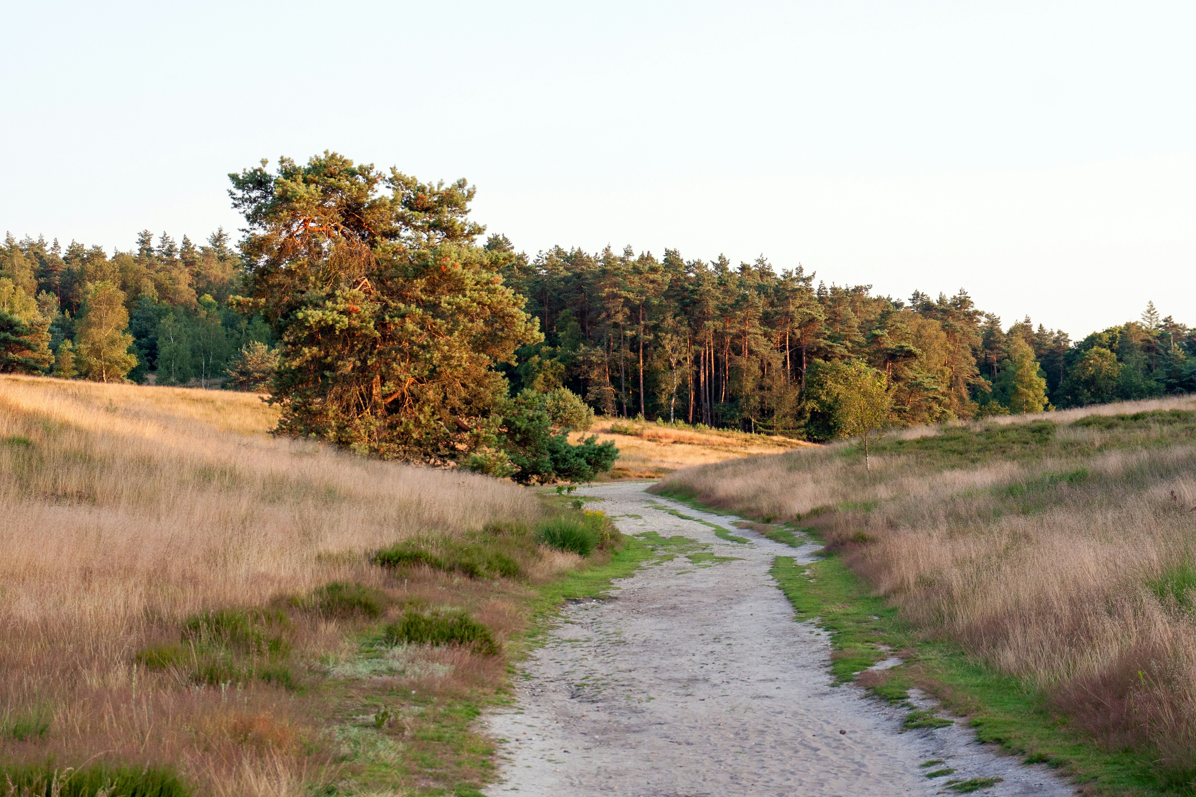 Photo by daveboerland