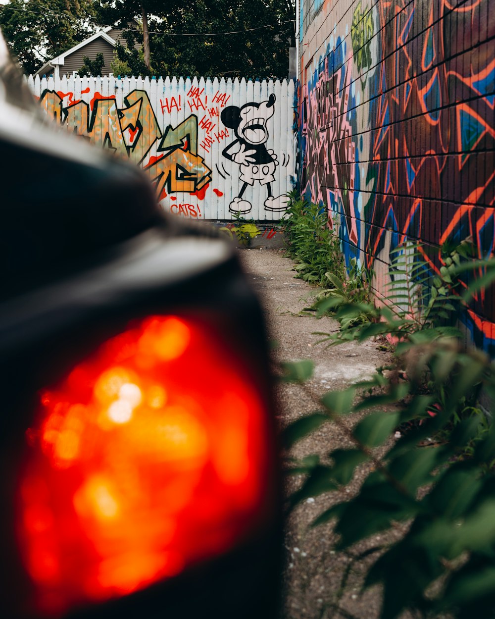 graffiti on wall during daytime