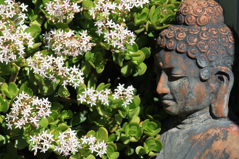 green and white flowers beside gray statue