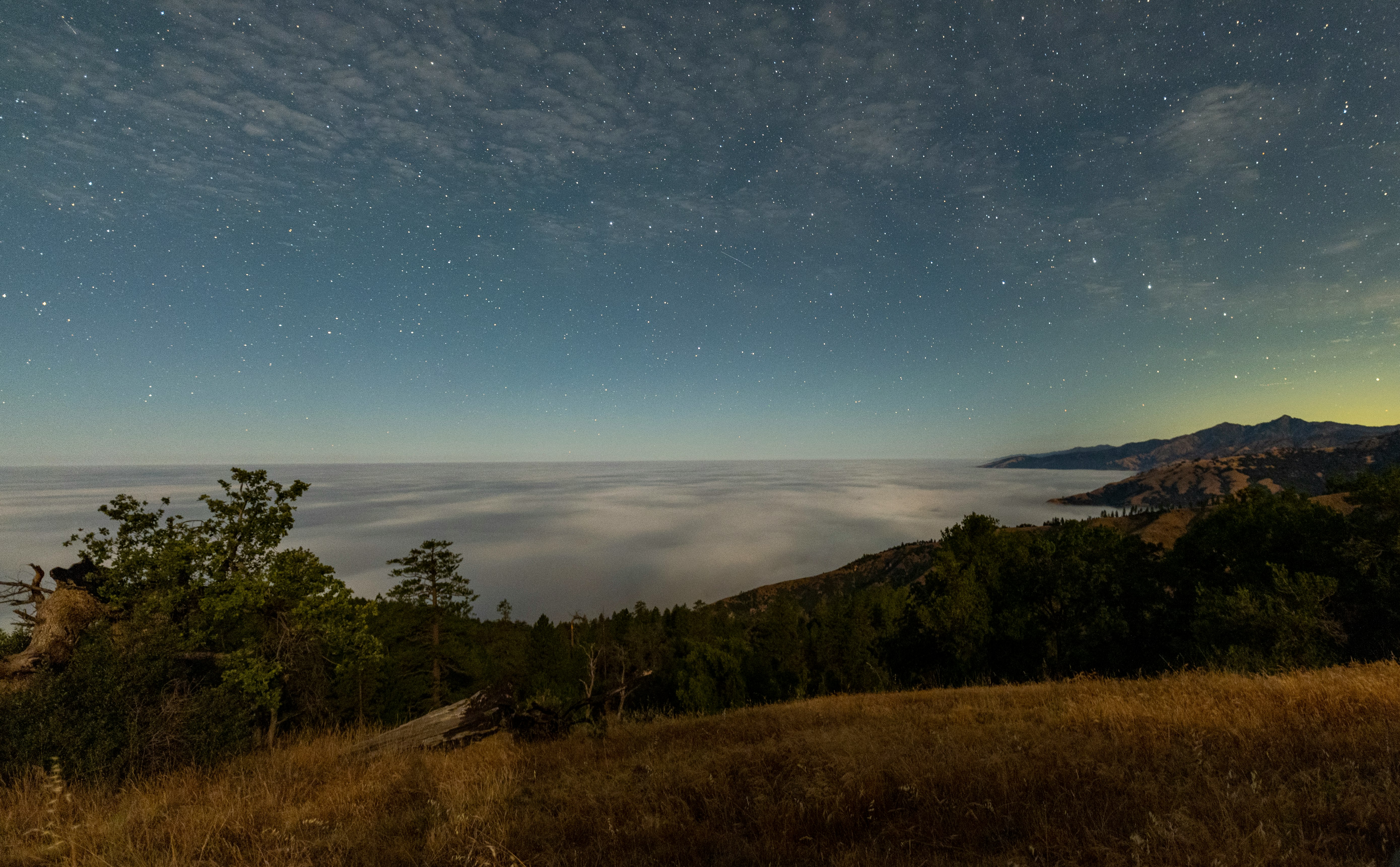 green trees near body of water under blue sky during night time