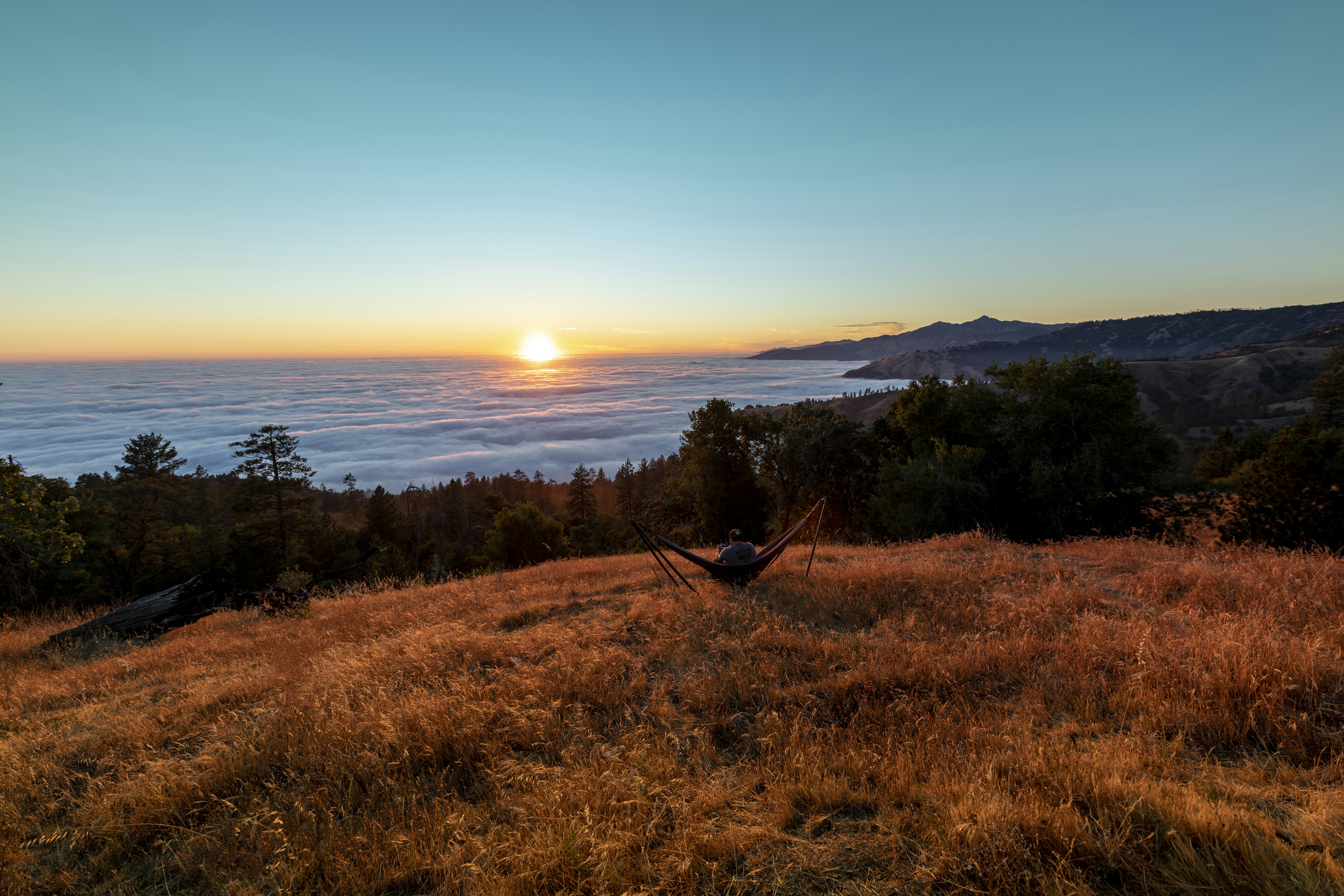 Photo by leo_visions_