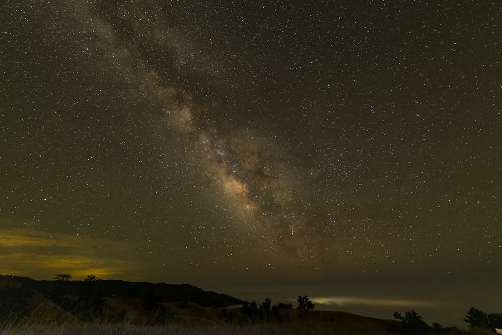 silhouette of people on beach under starry night