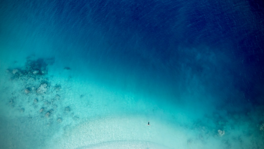 Underwater photo spot Maalhos Kaafu Atoll