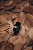 A black fitness tracker or smartwatch is placed on a bed of brown, dried leaves. The leaves are arranged in a layered pattern, creating a rustic and natural backdrop.