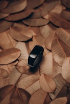 A black fitness tracker or smartwatch is placed on a bed of brown, dried leaves. The leaves are arranged in a layered pattern, creating a rustic and natural backdrop.