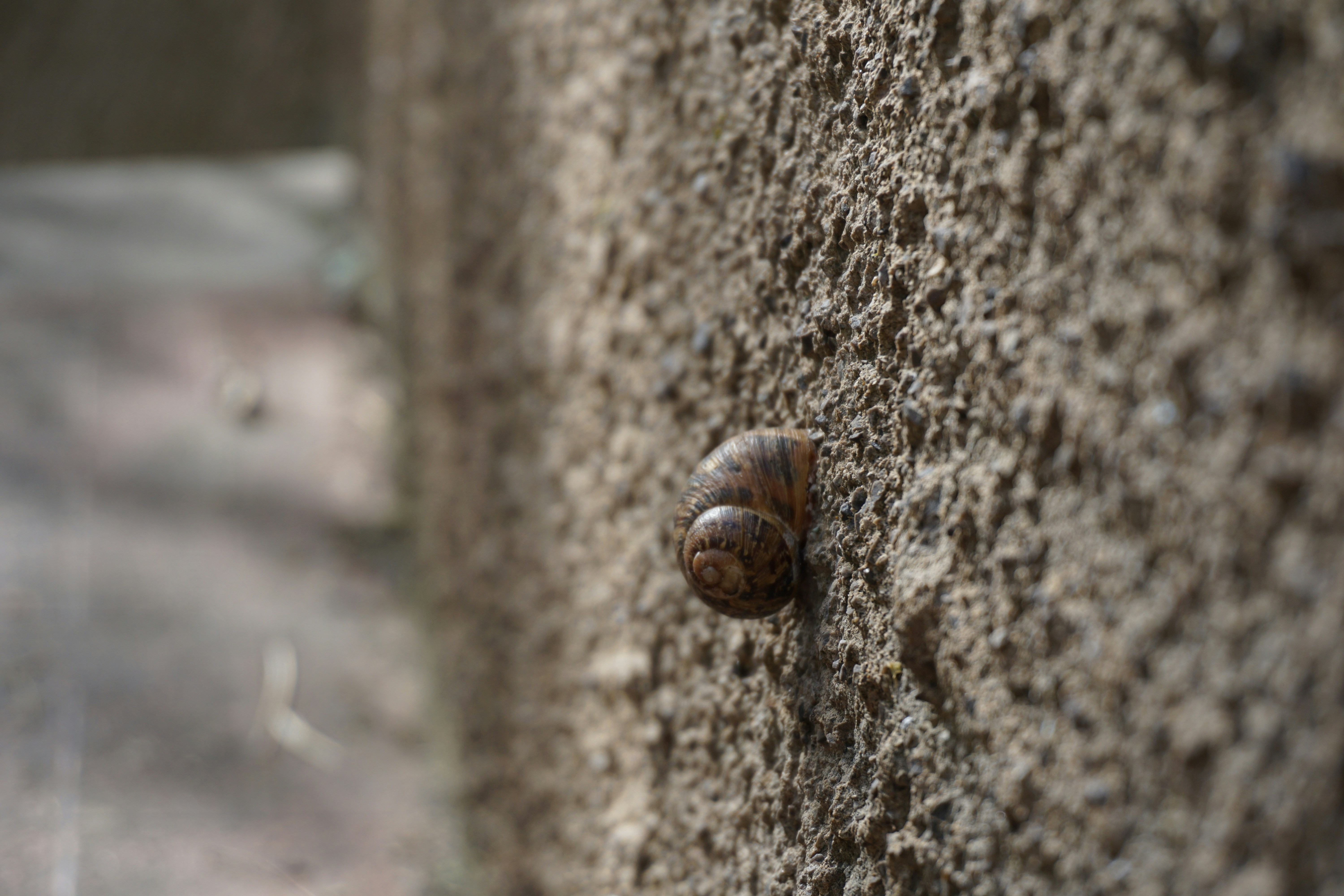 Francesco Palladino (@polonordo) | Unsplash Photo Community