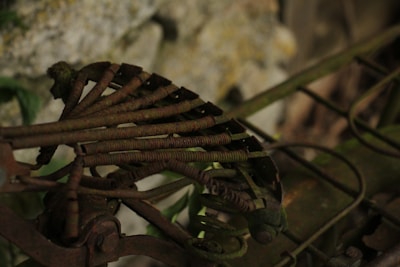 Rusty metal springs and wires are intertwined, forming part of a disused mechanism against a blurred natural background.