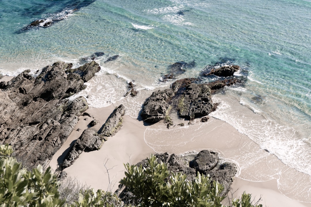 aerial view of green trees on seashore during daytime