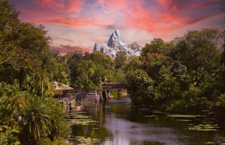 Permit Filed for Feathered Friends in Flight Theater – Animal Kingdom Update?