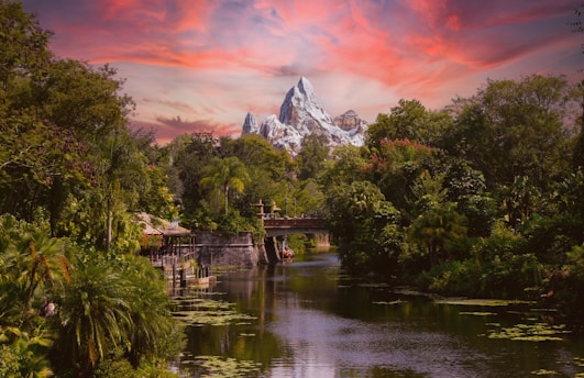 green trees near lake and mountain during daytime
