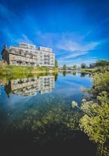 A serene Kolkata street scene highlighting the blend of tradition and modern life.