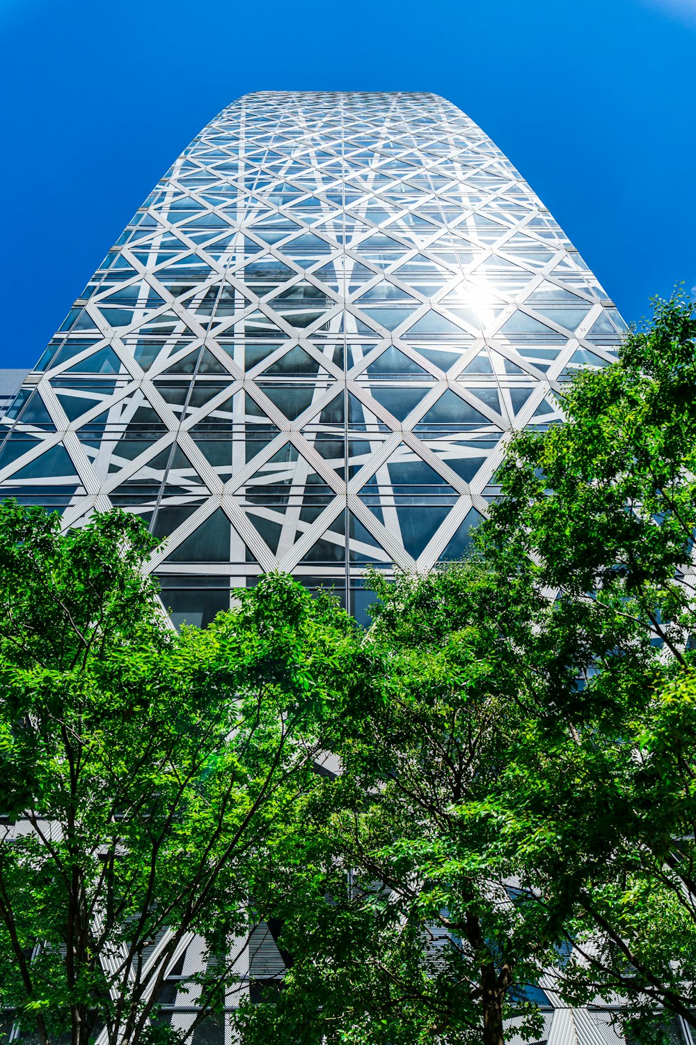 green trees near white building during daytime