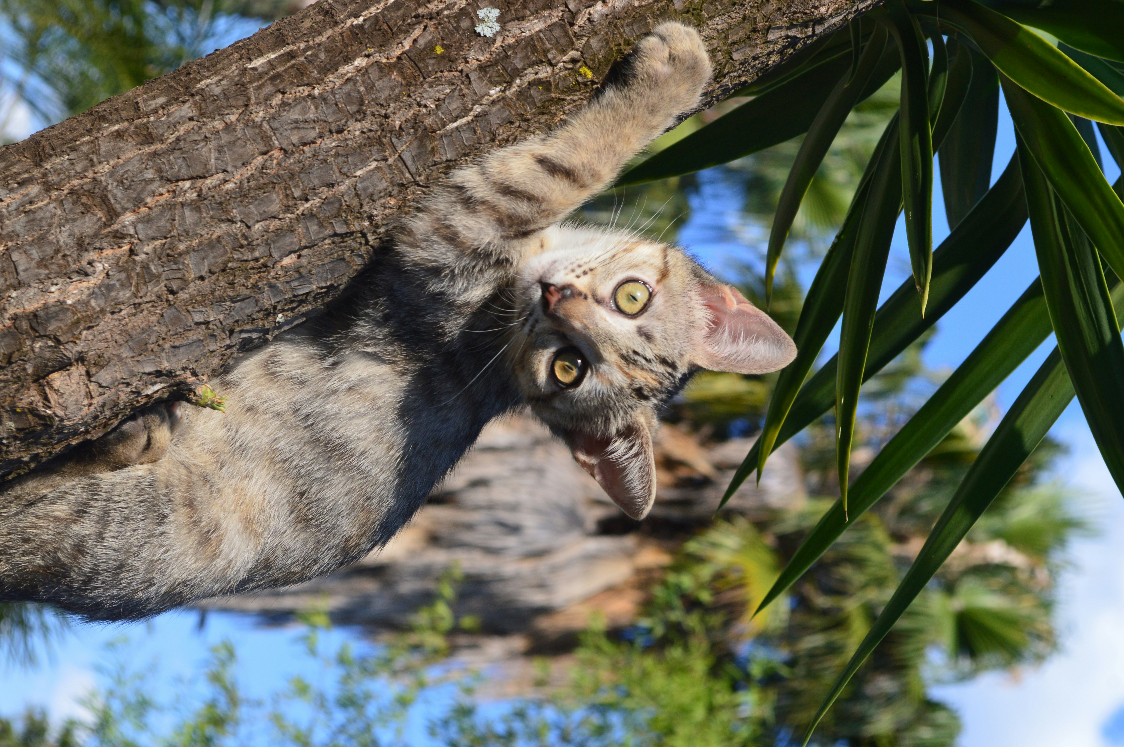 Photo by gizellemalan