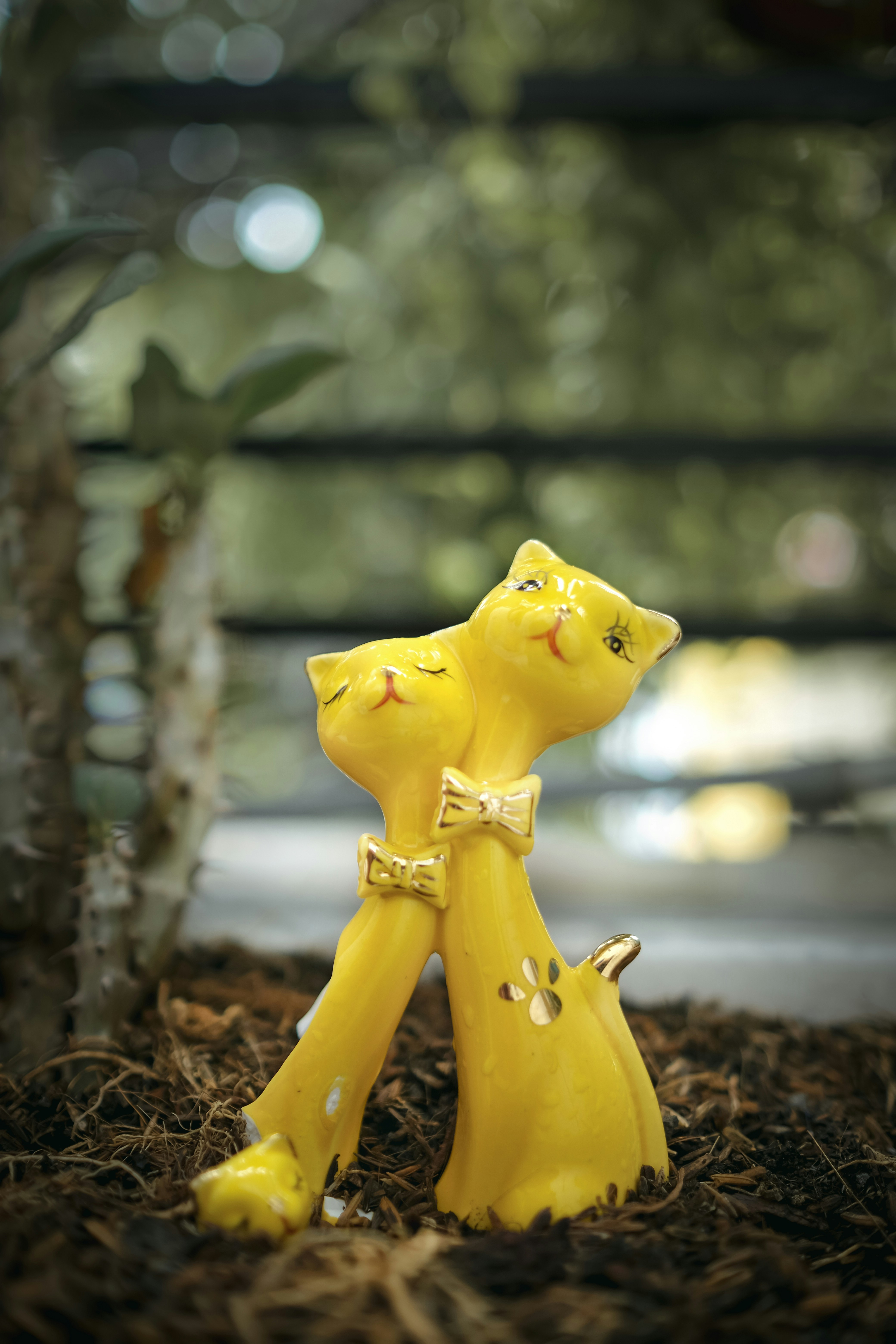 Photo by renichinguyen