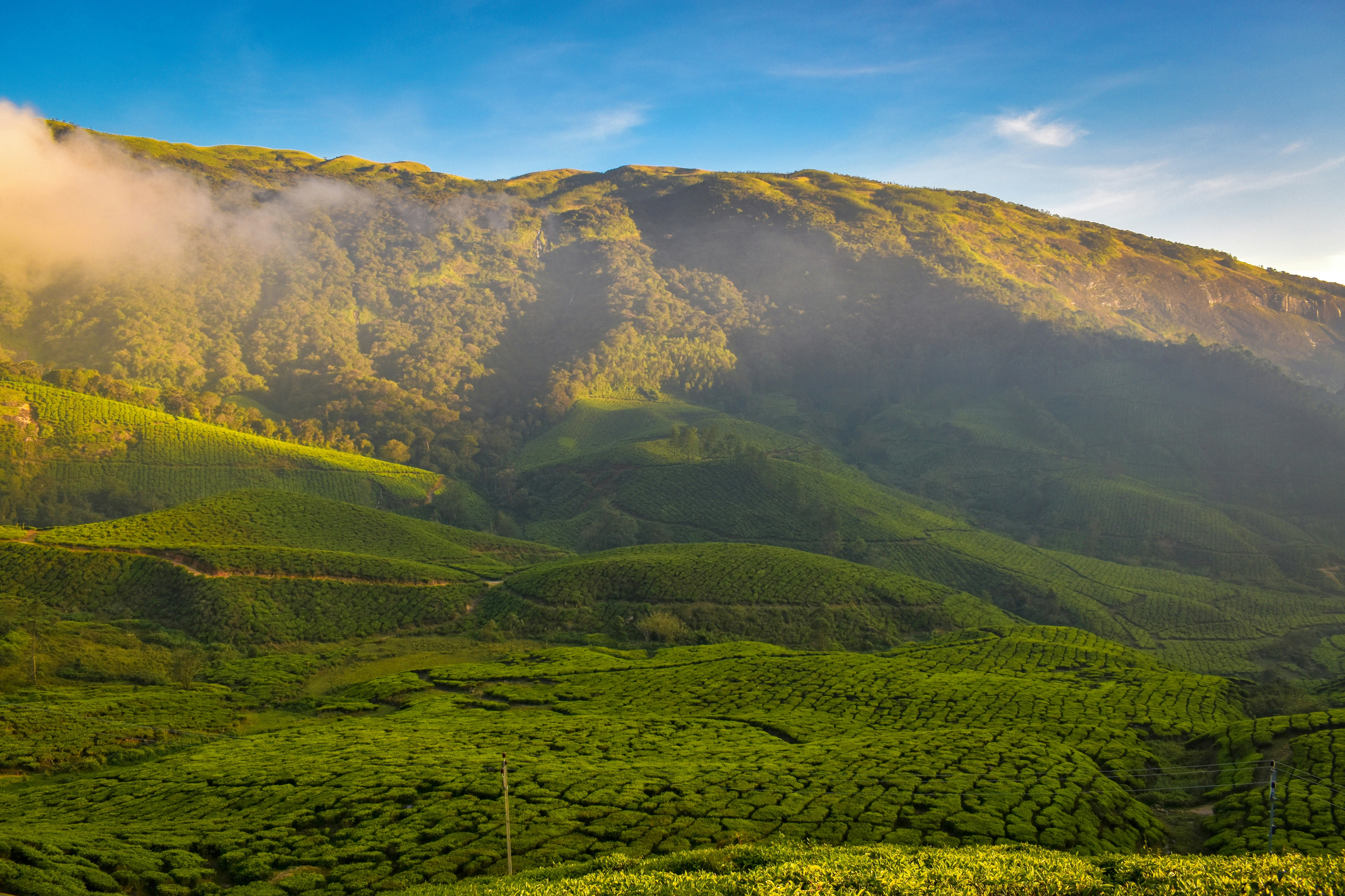 Photo by navi_photography