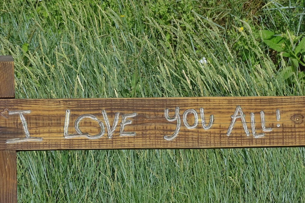 brown wooden signage on green grass field