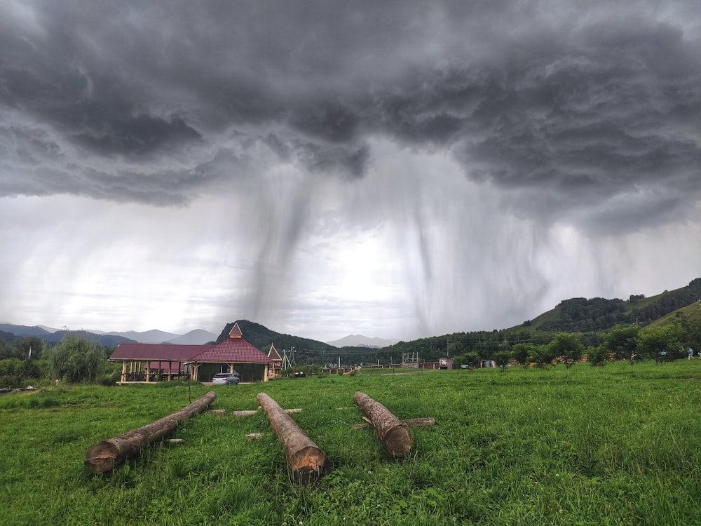 brown wooden log on green grass field under white clouds during daytime