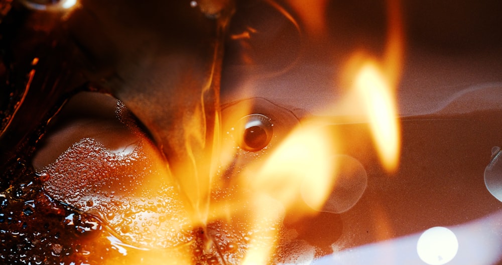 fire in close up photography