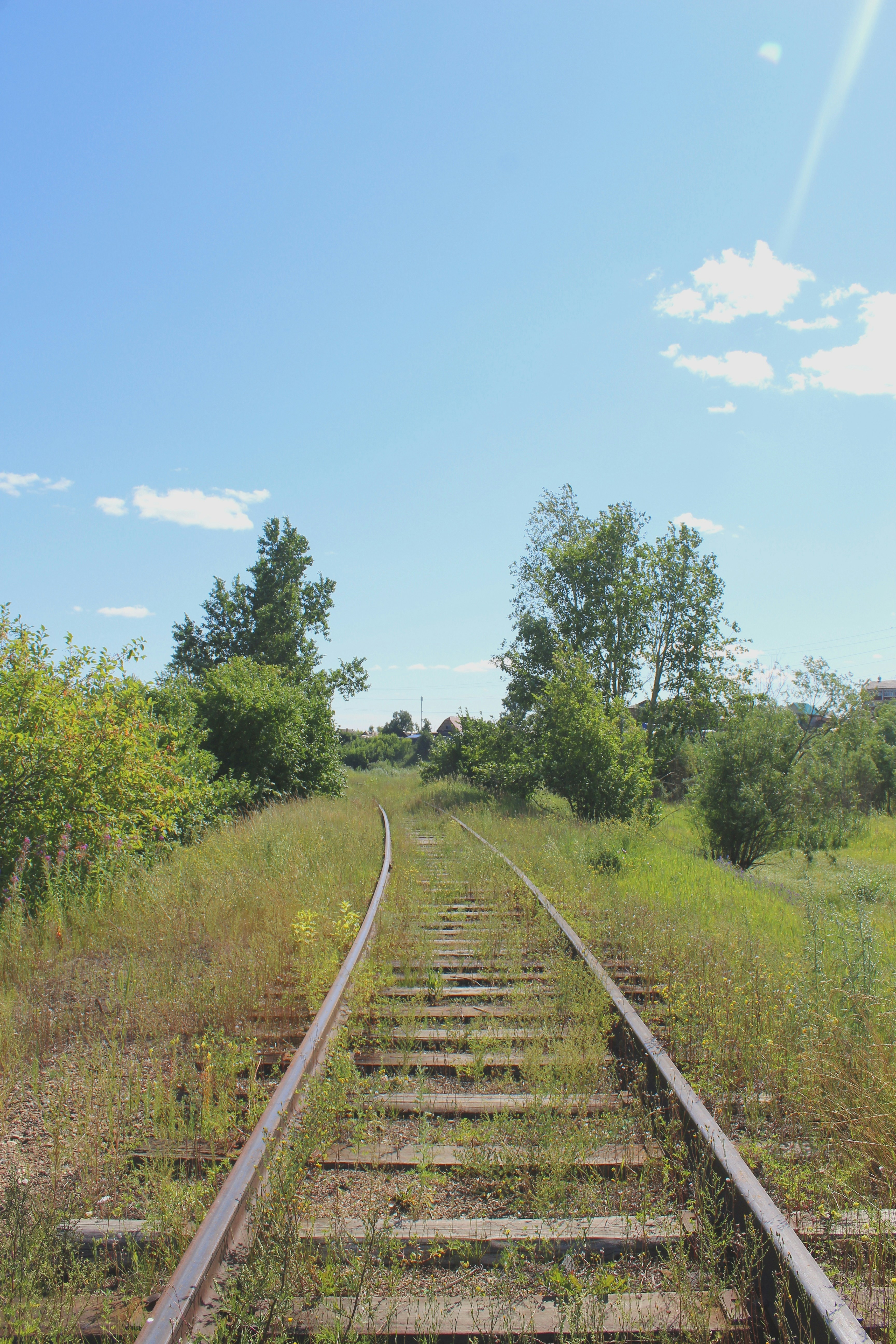 Photo by savvastasian