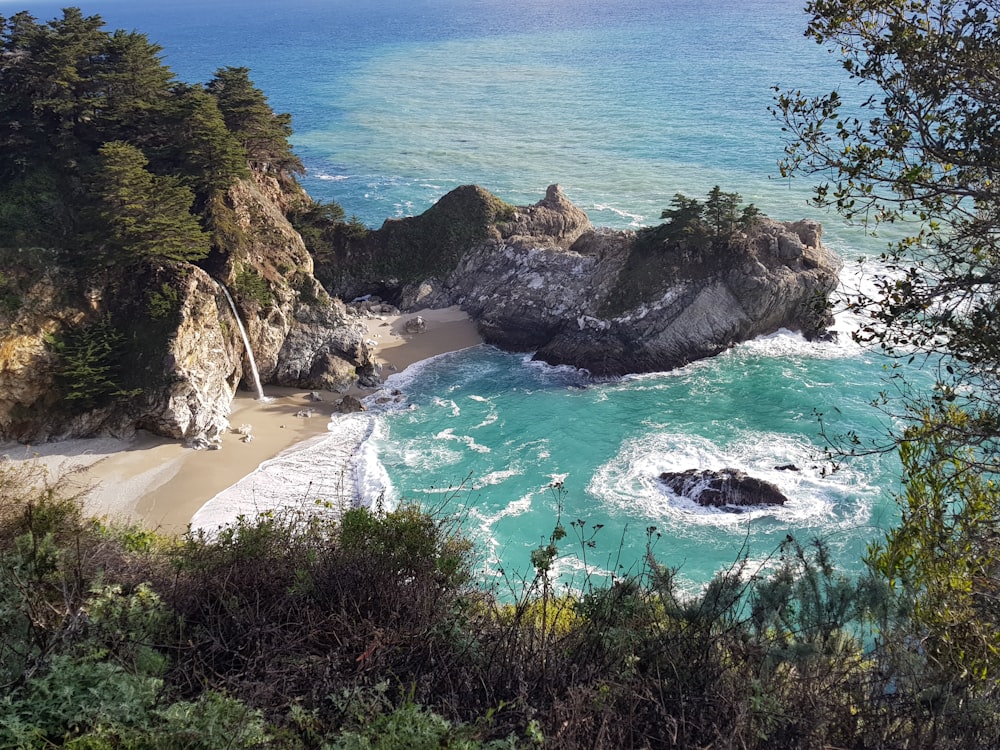 green trees on brown sand beach during daytime