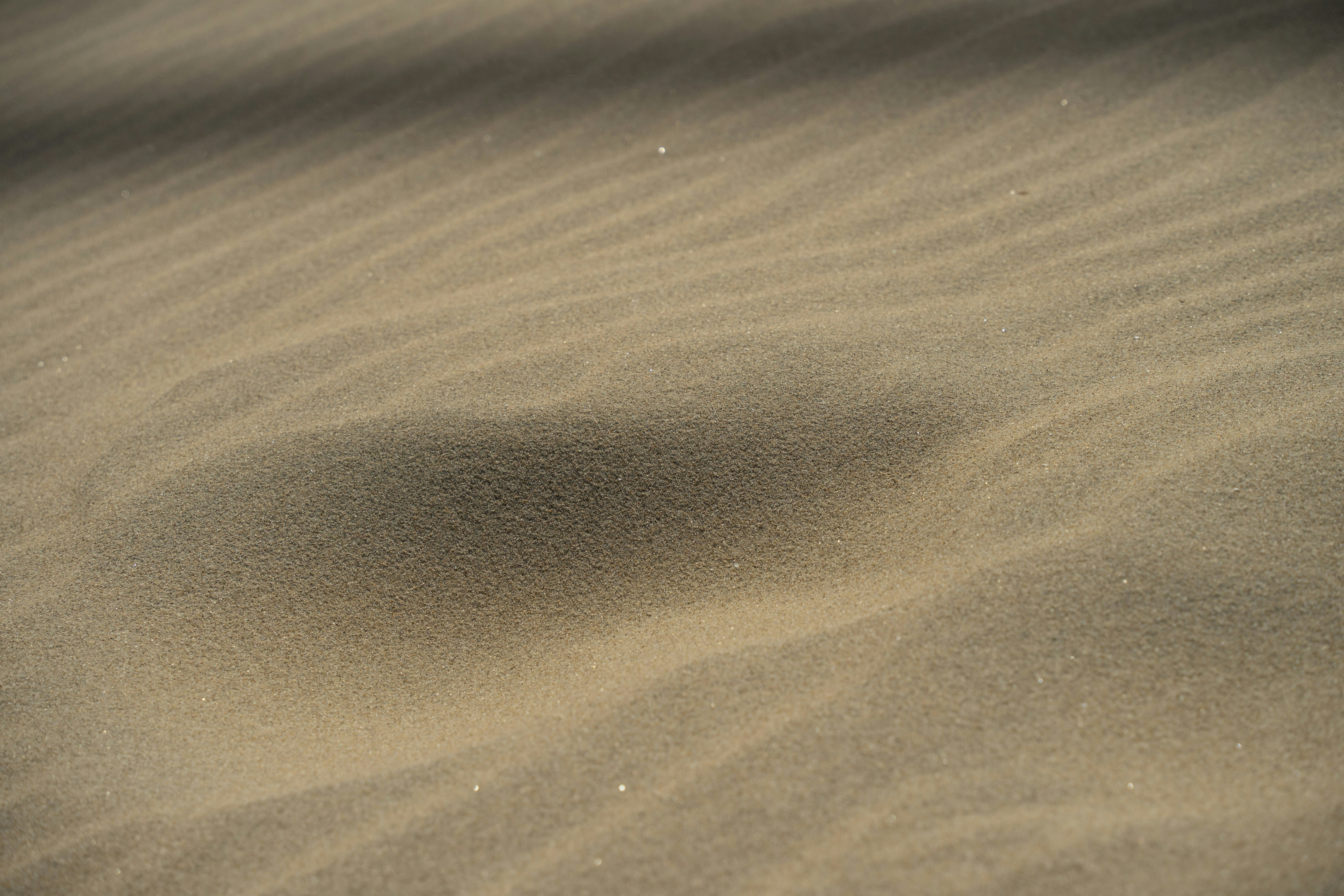 Photo by evankarageorgos