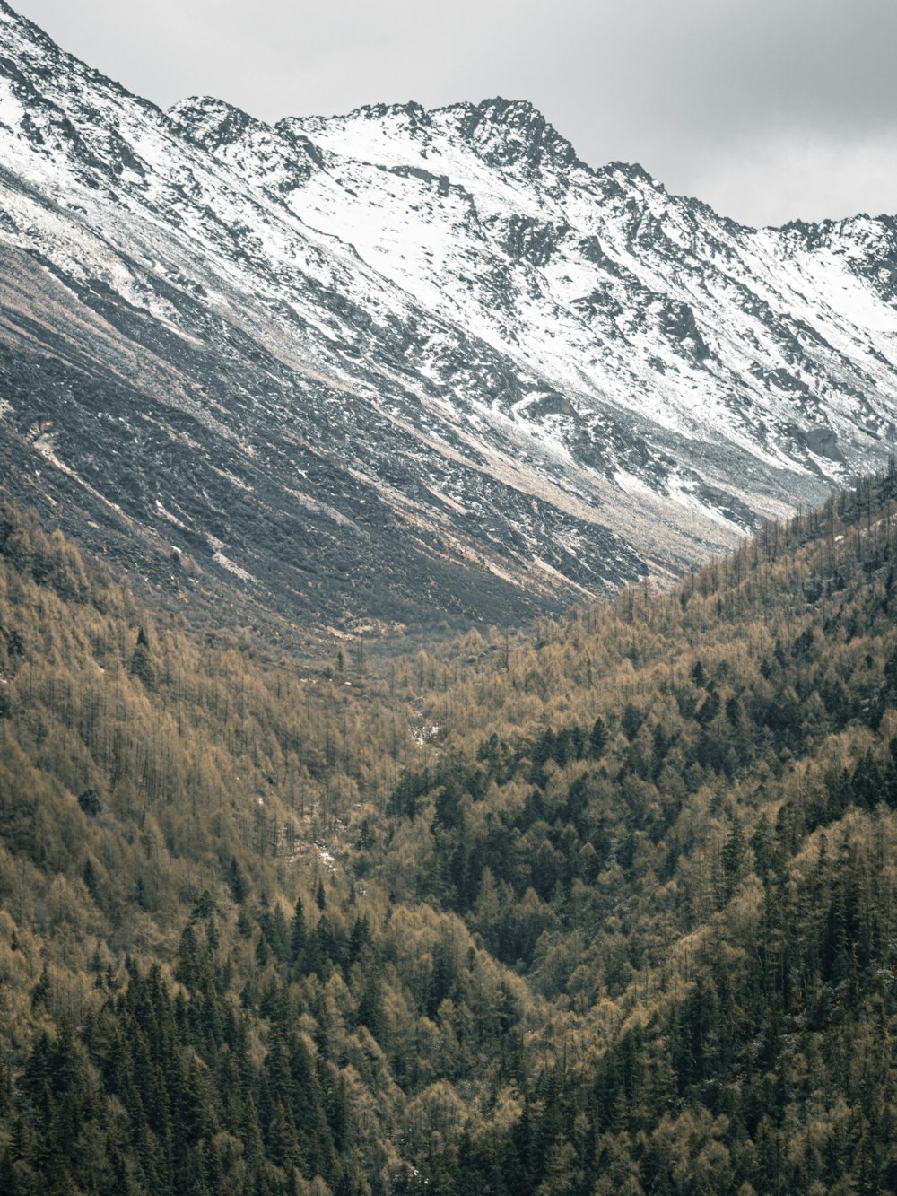 snow covered mountain during daytime