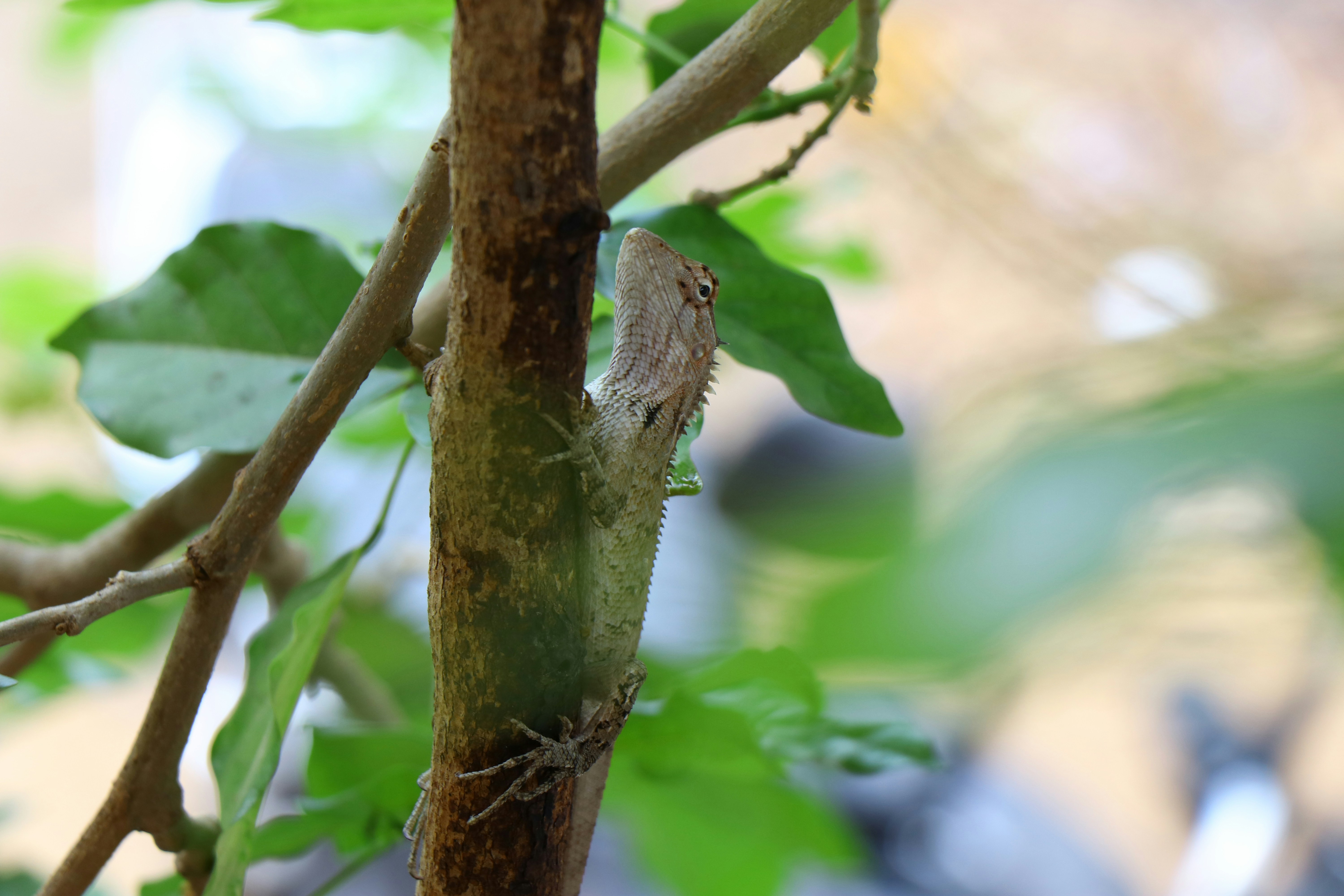 Photo by magizhchiphotography