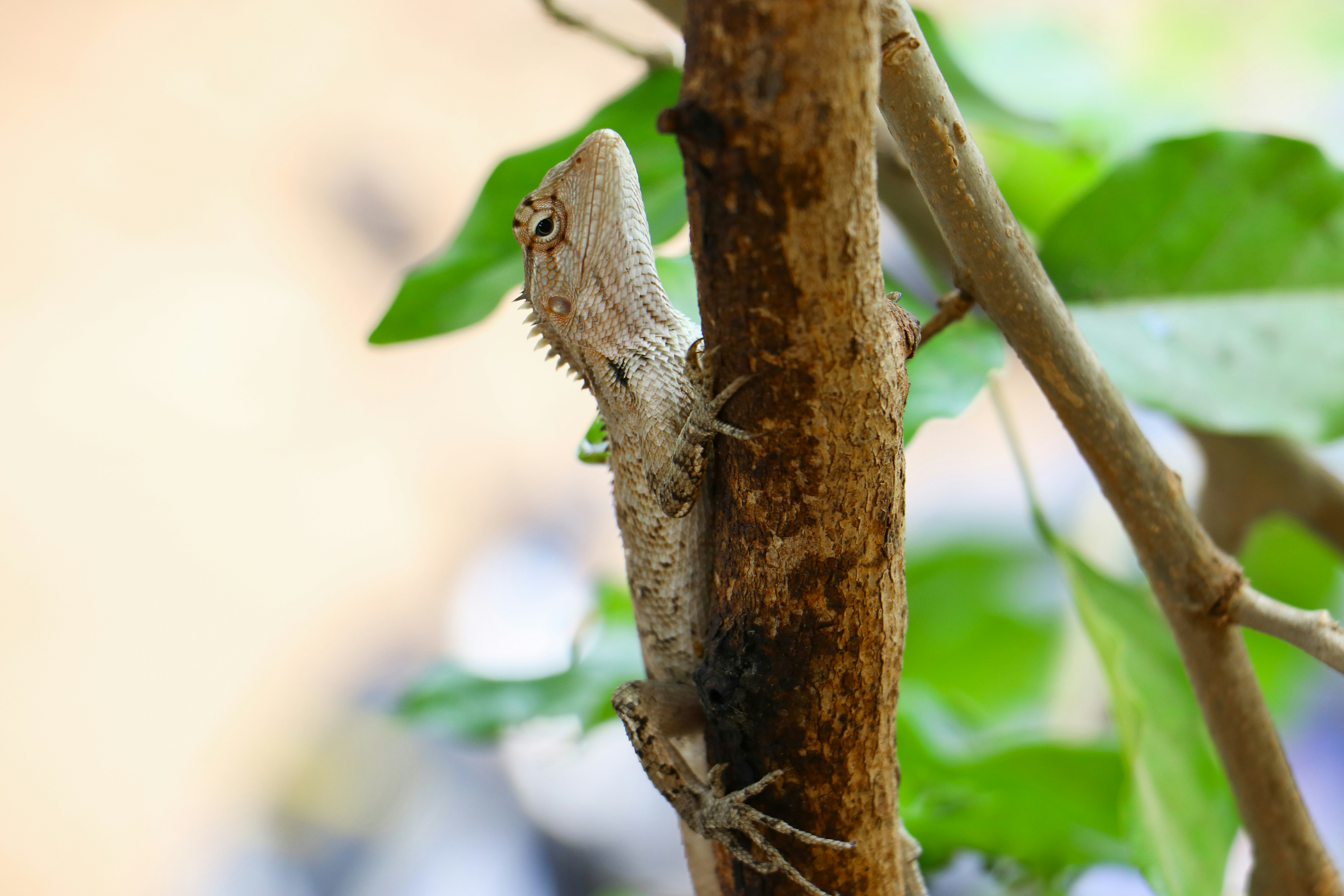 Photo by magizhchiphotography