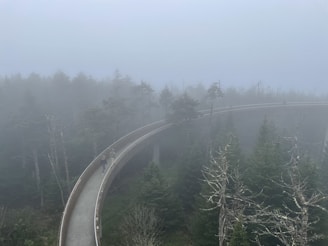 A foggy setting featuring an elevated winding pathway surrounded by dense forest. The atmosphere is serene yet mysterious, with trees partially obscured by the mist. Individuals are walking along the path, giving a sense of exploration in the misty landscape.