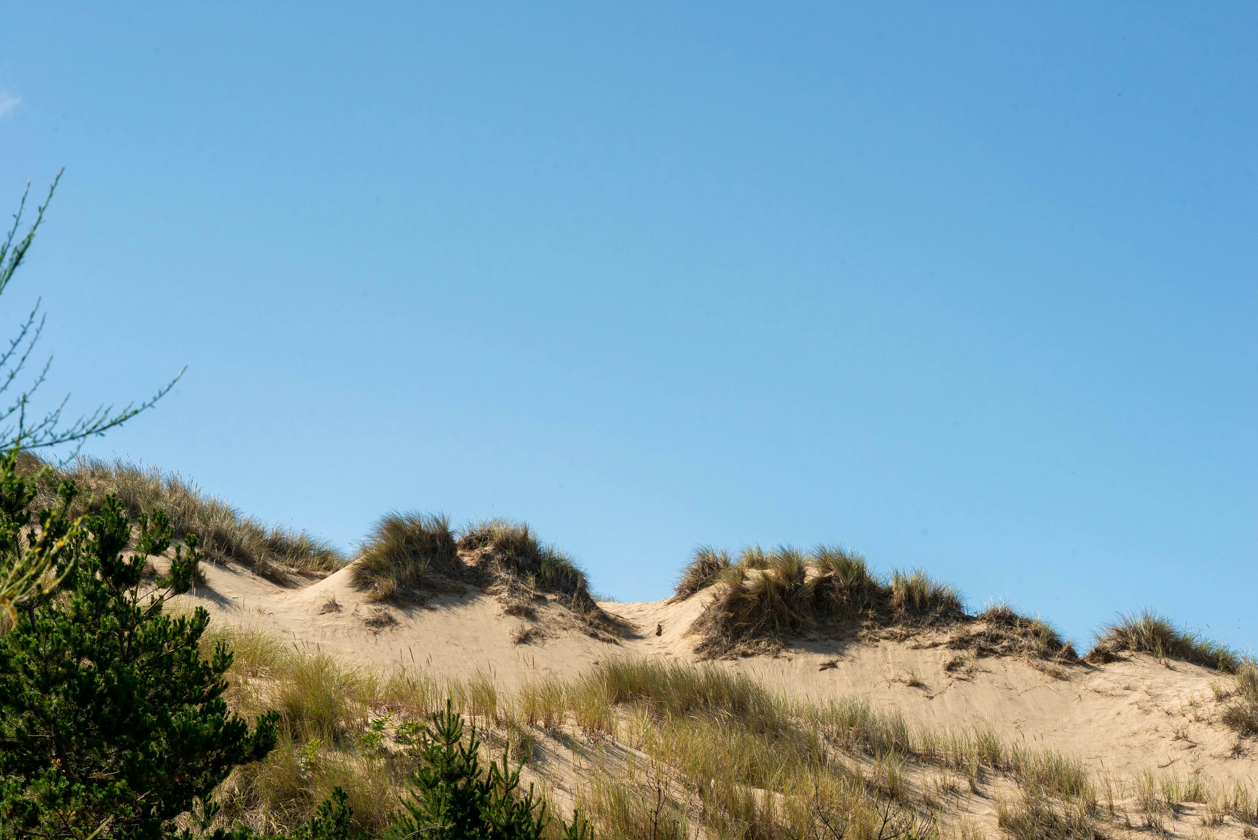 Photo by griestprojects