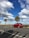 A bright red car is driving along a coastal road lined with palm trees. The sky is predominantly blue with large, fluffy white clouds scattered throughout. Shadows of palm fronds are cast on the road.