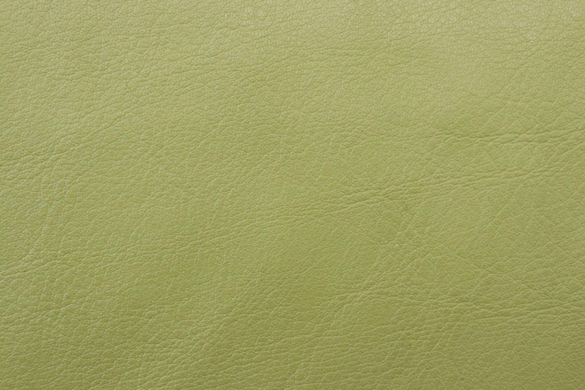 white wall paint with white paint