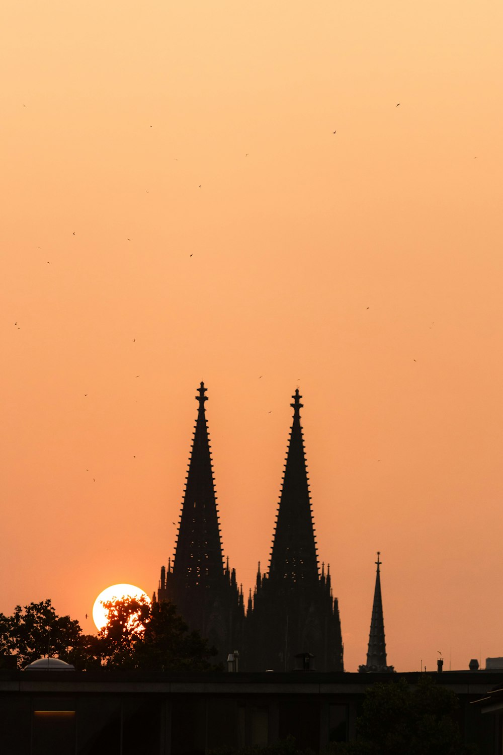 silhouette of trees and building during sunset