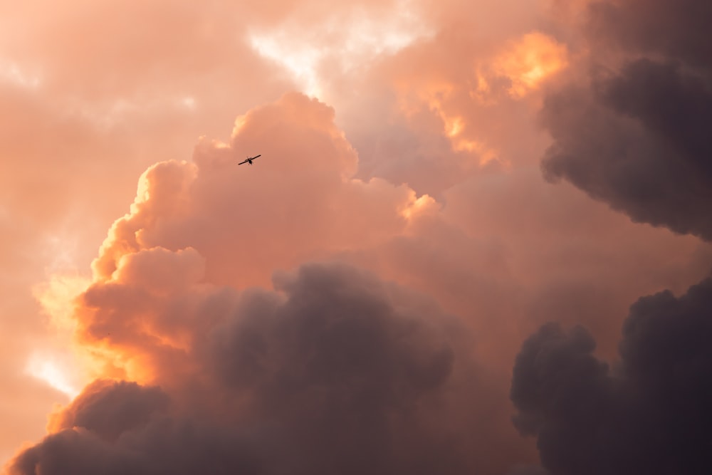 airplane flying in the sky during daytime