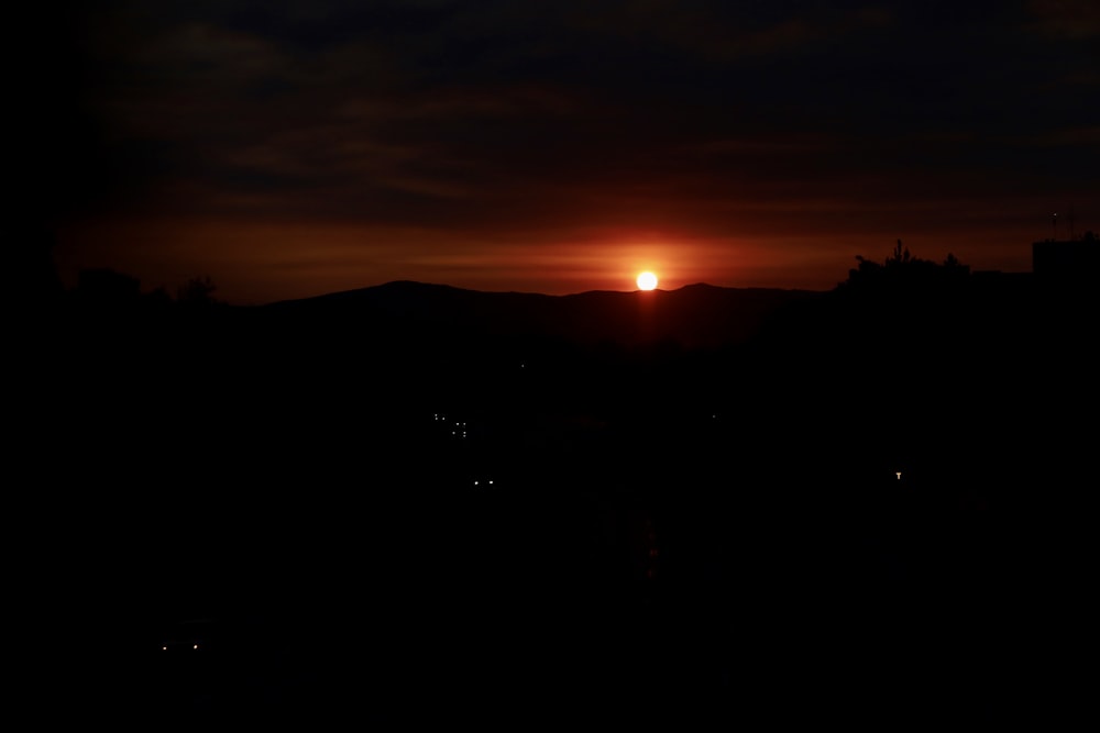 silhouette of trees during sunset