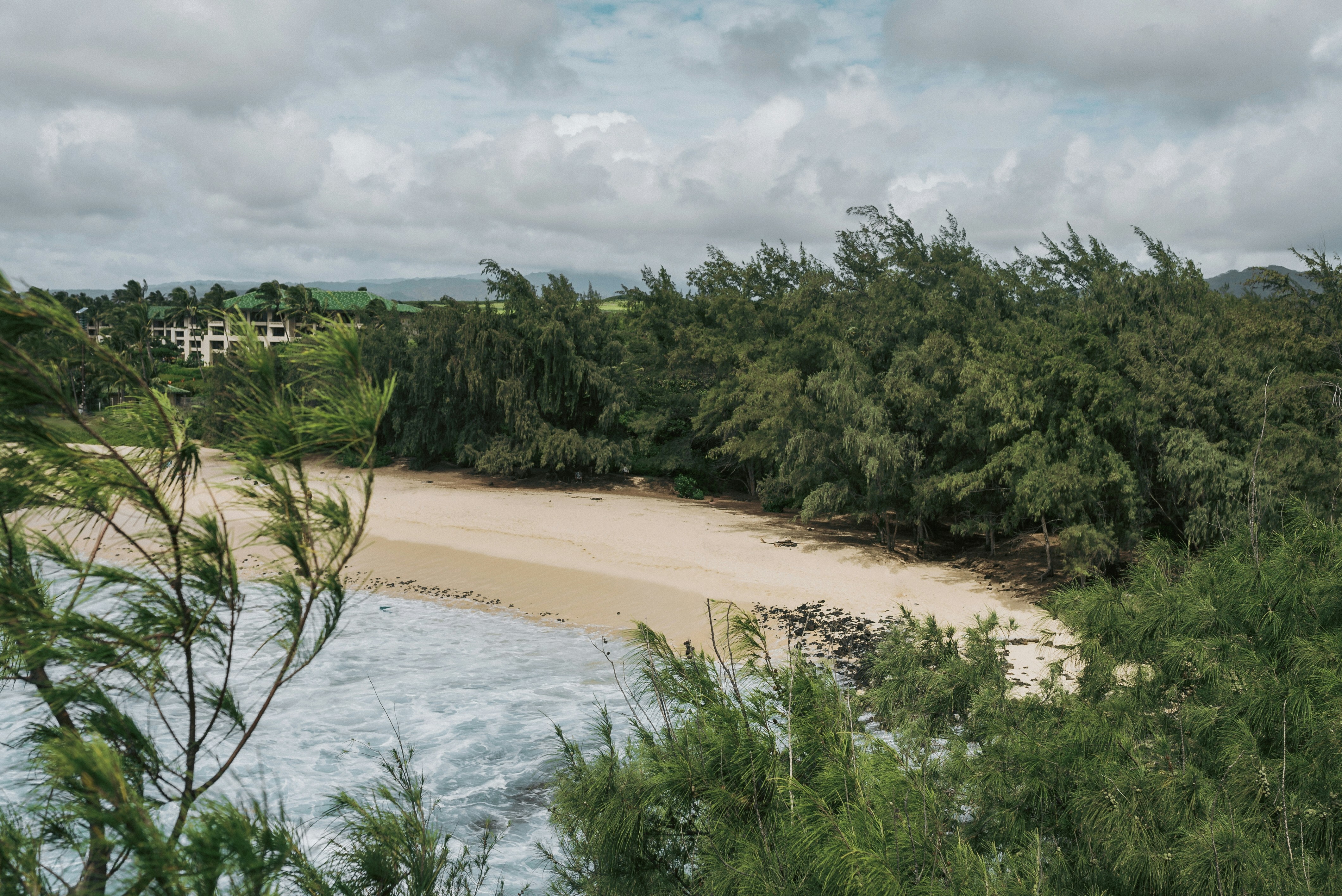 green trees near body of water during daytime, Beach life