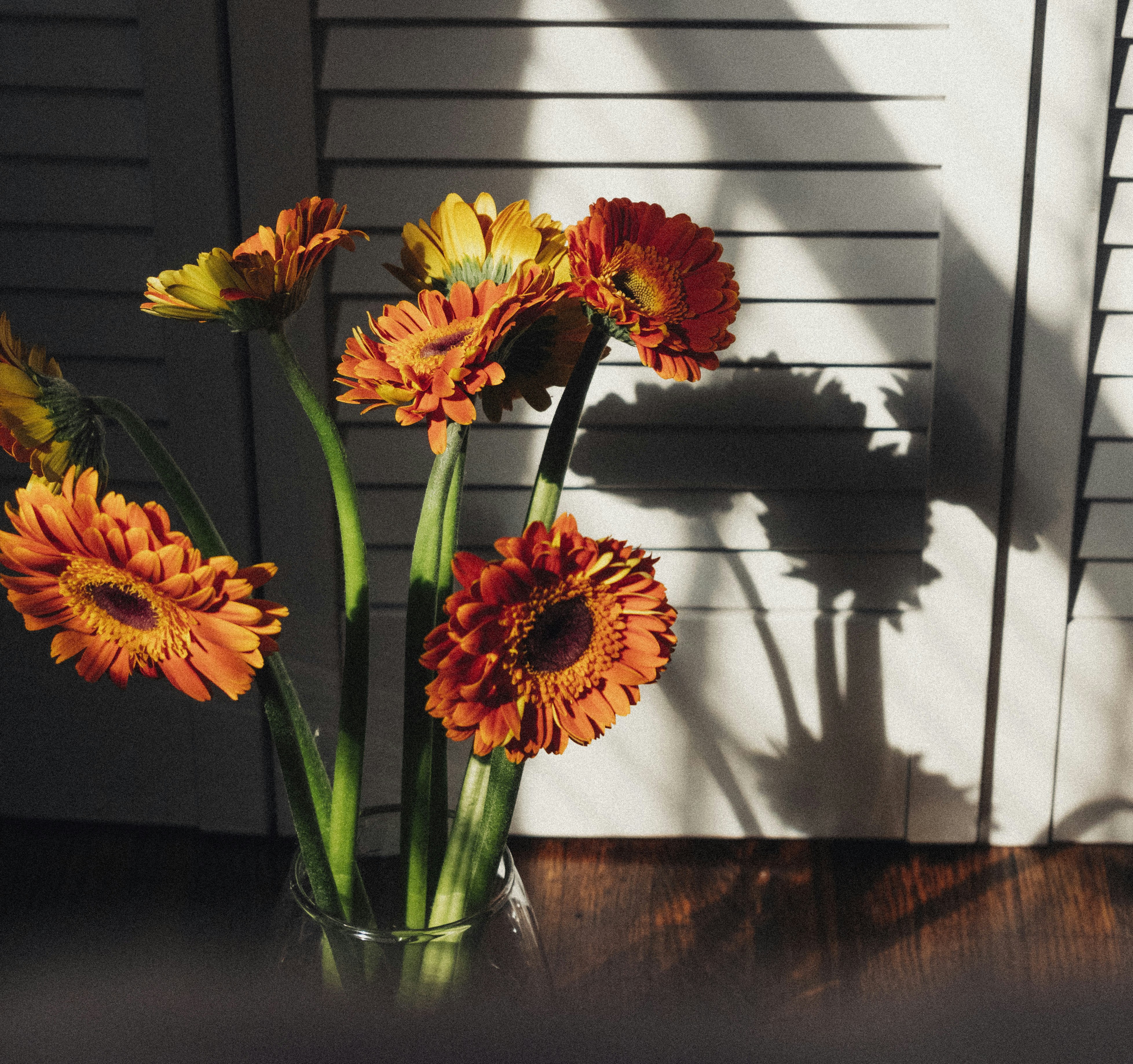Photo by lowmurmer